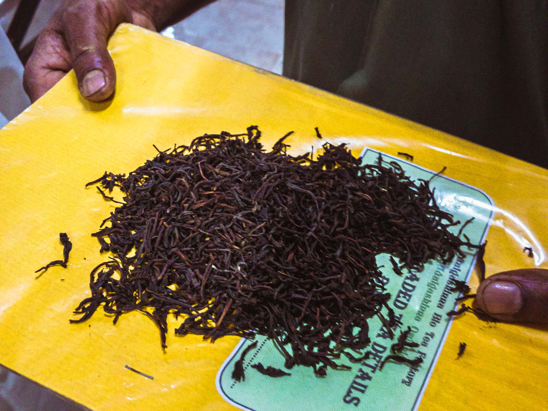 Une visite d’un domaine de thé en biodynamie, en train entre les crêtes brumeuses au cœur des montagnes au Sri Lanka