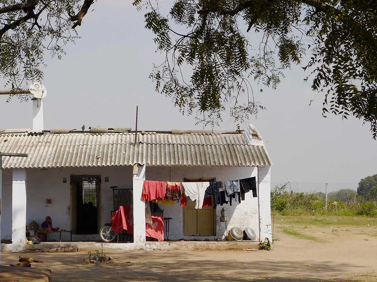 Un domaine familial inspirant en agriculture naturelle dans les environs d’Ahmedabad au Gujarat au nord-ouest de l’Inde
