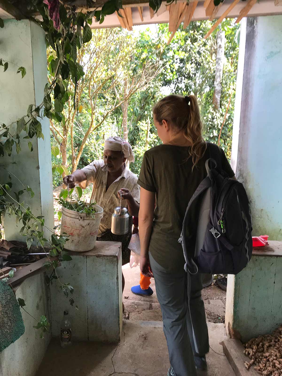Une ferme unique, aux milles épices, sur les hauteurs des Ghâts occidentaux en Inde Une ferme unique, aux milles épices, sur les hauteurs des Ghâts occidentaux en Inde