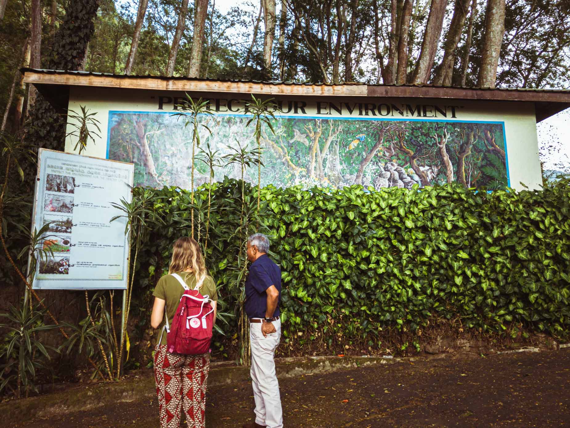 Une visite d’un domaine de thé en biodynamie, en train entre les crêtes brumeuses au cœur des montagnes au Sri Lanka