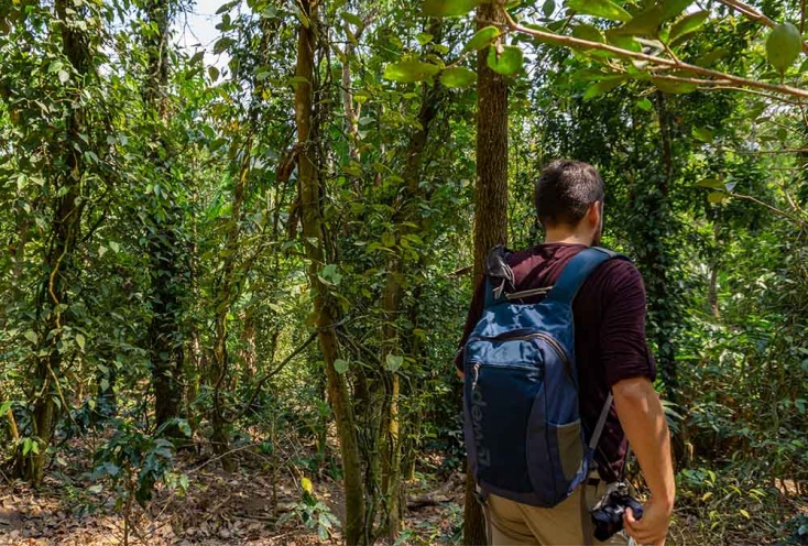 Une ferme unique, aux milles épices, sur les hauteurs des Ghâts occidentaux en Inde